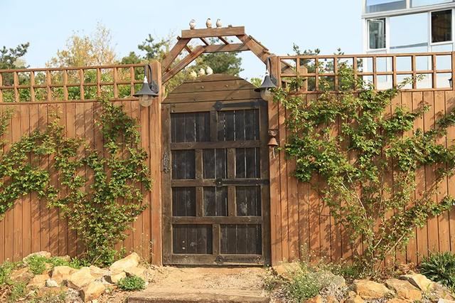 从基建到植物，2年造一个2000平花园