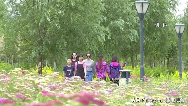 武威:稳步推进“省级森林城市”创建 武威:稳步推进“省级森林城市”创建