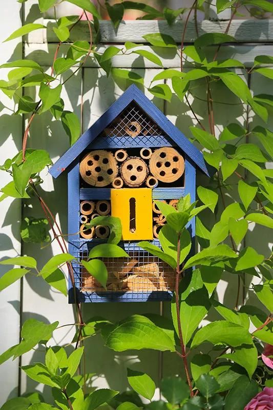 从基建到植物，2年造一个2000平花园