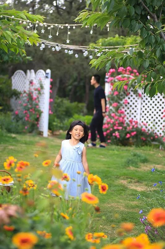 从基建到植物，2年造一个2000平花园