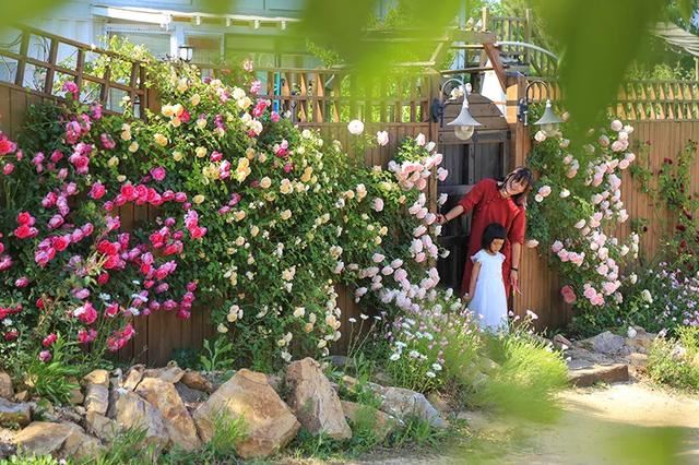 从基建到植物，2年造一个2000平花园