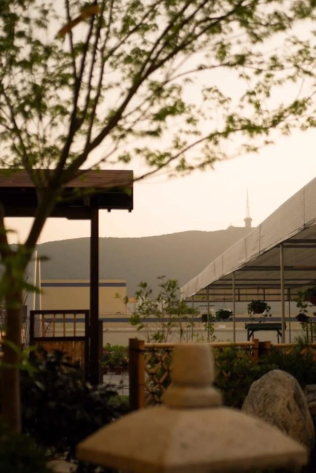 庭院设计师的庭院会做成什么样? 庭院设计师的庭院会做成什么样?