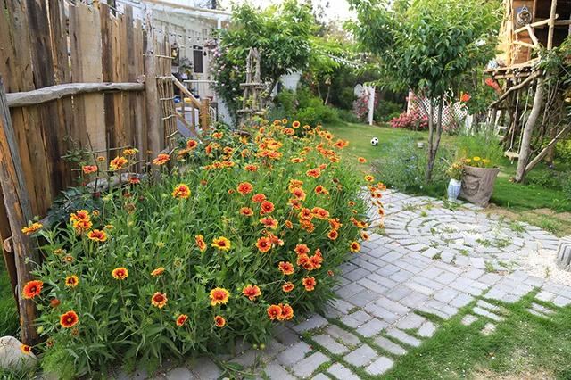 从基建到植物，2年造一个2000平花园