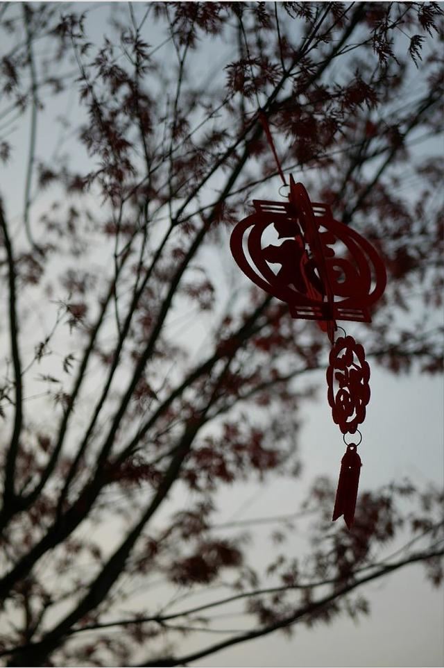 庭院设计师的庭院会做成什么样? 庭院设计师的庭院会做成什么样?