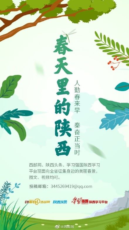 春天里的陕西丨白河县樱桃花开 春意浓