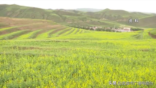 武威:稳步推进“省级森林城市”创建 武威:稳步推进“省级森林城市”创建