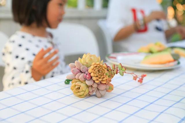 从基建到植物，2年造一个2000平花园