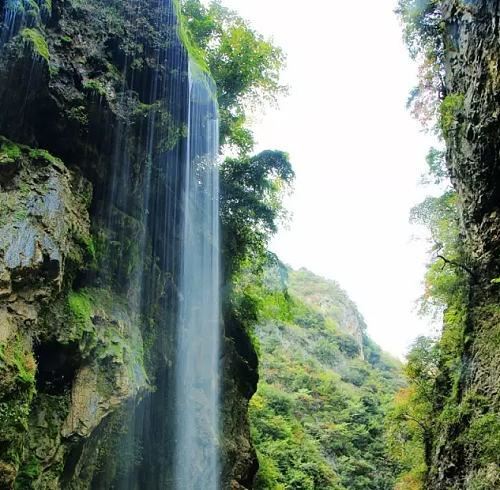 桃红丰阳城，先来云赏春，疫情过后再一起撒欢儿
