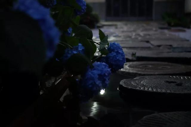 庭院设计师的庭院会做成什么样? 庭院设计师的庭院会做成什么样?