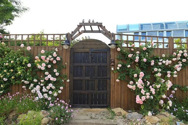 从基建到植物，2年造一个2000平花园