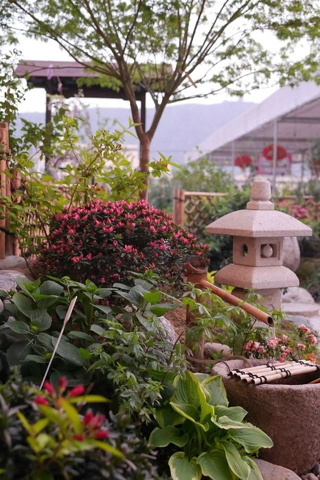 庭院设计师的庭院会做成什么样? 庭院设计师的庭院会做成什么样?