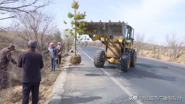 八步沙林场:人勤春来早植树不误时 八步沙林场:人勤春来早植树不误时