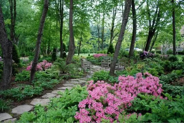 15种方法,营造醉美花园小径 15种方法,营造醉美花园小径