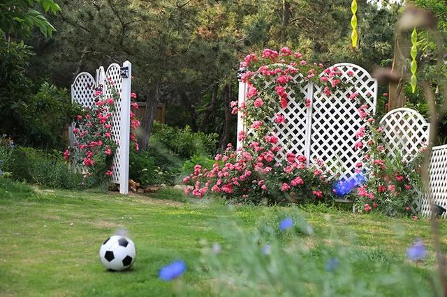 从基建到植物，2年造一个2000平花园