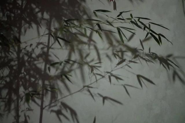 庭院设计师的庭院会做成什么样? 庭院设计师的庭院会做成什么样?