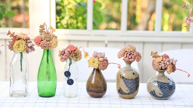 从基建到植物，2年造一个2000平花园