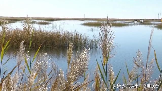 武威:稳步推进“省级森林城市”创建 武威:稳步推进“省级森林城市”创建