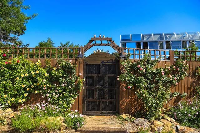 从基建到植物，2年造一个2000平花园