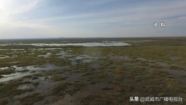 武威:稳步推进“省级森林城市”创建 武威:稳步推进“省级森林城市”创建