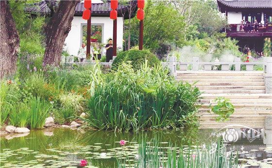 北京世园会浙江园植物应用解析 科技成就植物之美 北京世园会浙江园植物应用解析 科技成就植物之美