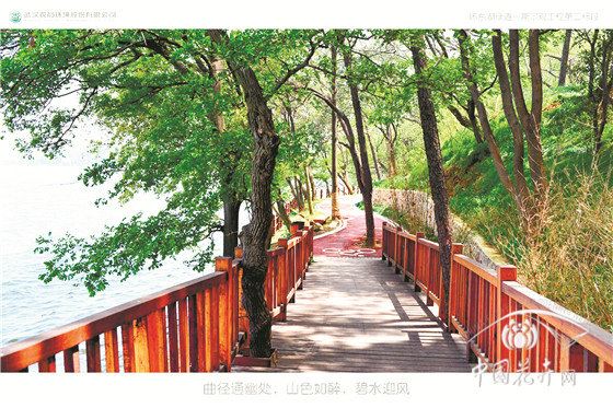 武汉东湖“绿色项链”是如何串成的？