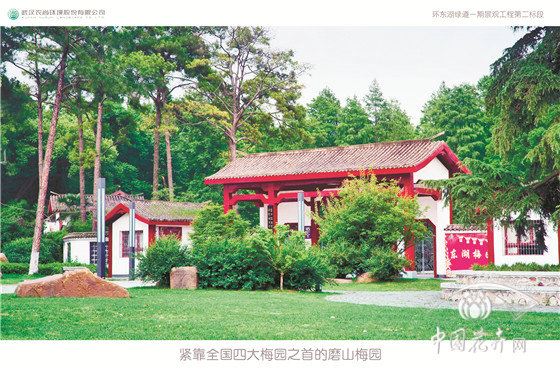 武汉东湖“绿色项链”是如何串成的？