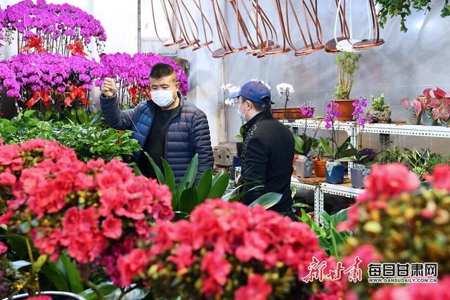 「抓好防控 复工复产」万紫千红报春来！兰州花卉市场开市迎客
