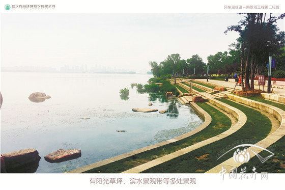 武汉东湖“绿色项链”是如何串成的？