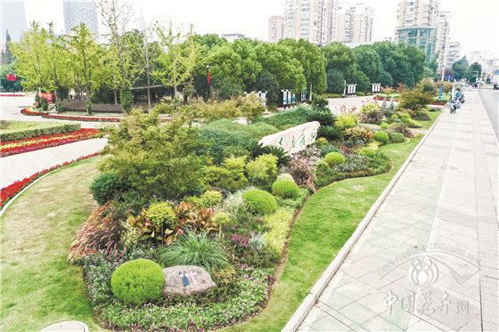 中国花境探新联盟提出“苏式花境”新概念 以情景入诗画 中国花境探新联盟提出“苏式花境”新概念 以情景入诗画