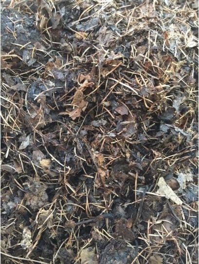 茶花用什么土栽种最好？分享3个简单的配土方法，好操作不烂根