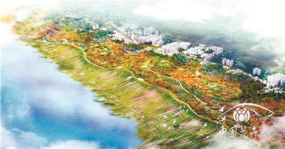 打造城建区与草海湿地生态隔离带 记贵州毕节威宁草海北岸集雨区面山植被恢复工程 