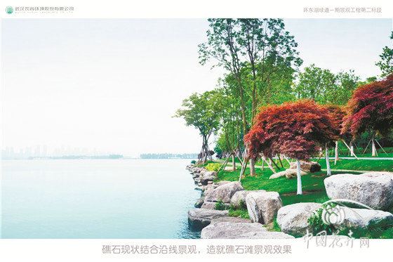 武汉东湖“绿色项链”是如何串成的？