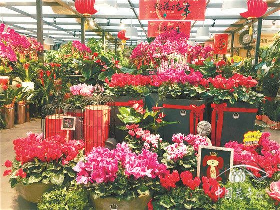 长沙都市花乡：打造有温度的花园中心 