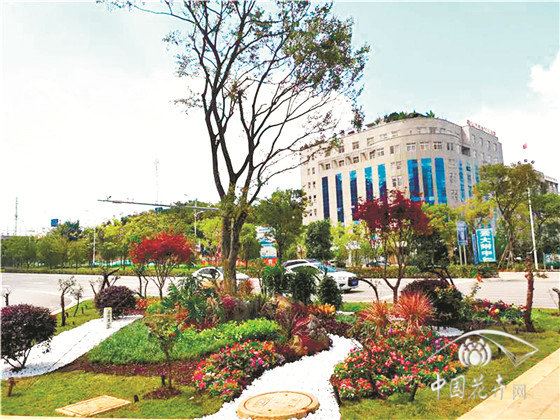 中国花境探新联盟提出“苏式花境”新概念 以情景入诗画 中国花境探新联盟提出“苏式花境”新概念 以情景入诗画