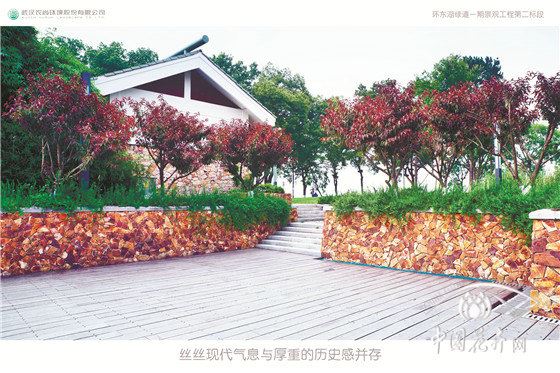 武汉东湖“绿色项链”是如何串成的？