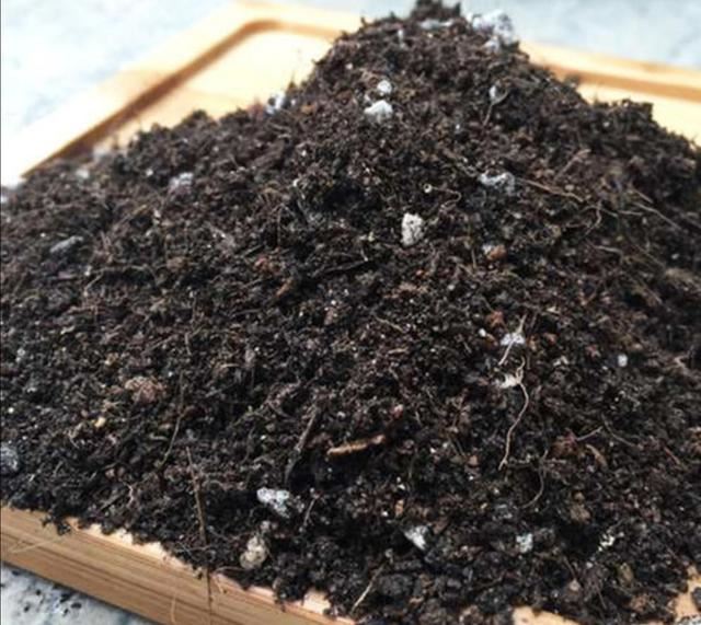 养茶花、杜鹃，自制酸性培养土，长得旺开花多，减少黄叶