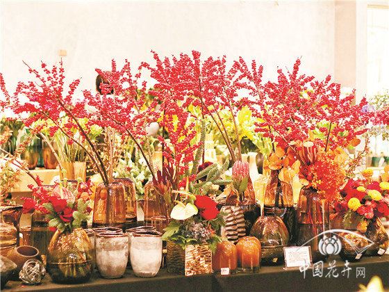 长沙都市花乡：打造有温度的花园中心 