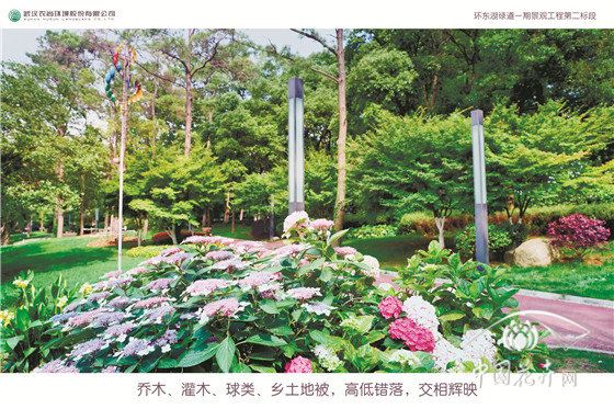 武汉东湖“绿色项链”是如何串成的？