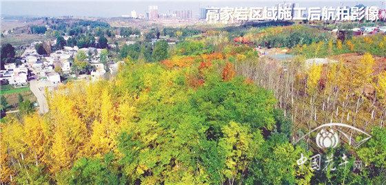 打造城建区与草海湿地生态隔离带 记贵州毕节威宁草海北岸集雨区面山植被恢复工程 