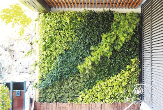 北京世园会浙江园植物应用解析 科技成就植物之美 北京世园会浙江园植物应用解析 科技成就植物之美