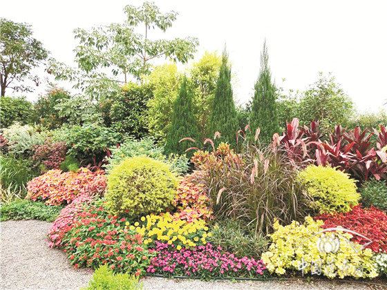 中国花境探新联盟提出“苏式花境”新概念 以情景入诗画 中国花境探新联盟提出“苏式花境”新概念 以情景入诗画