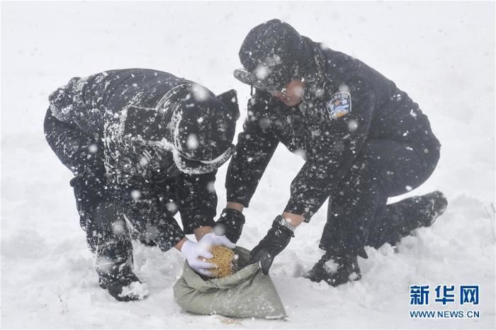 [最美林业故事]风雪中守护候鸟迁徙
