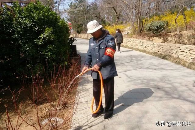 三月份，把握园林养护大好春光，合理增强树势、进行补植是关键