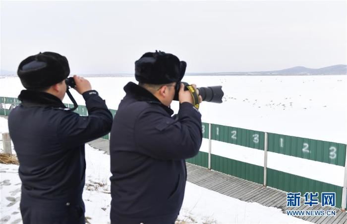 [最美林业故事]风雪中守护候鸟迁徙