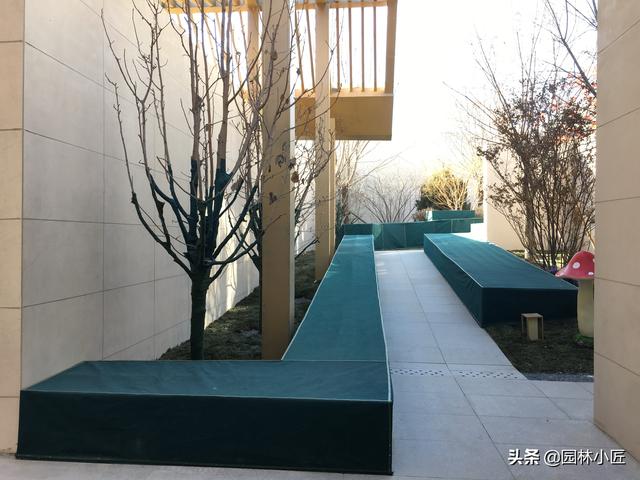 春季园林苗木养护管理实用要领