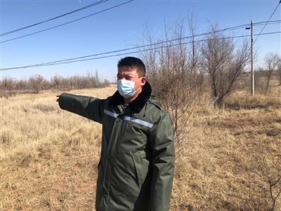 宁夏:让爱绿护绿成为自觉行动 宁夏:让爱绿护绿成为自觉行动