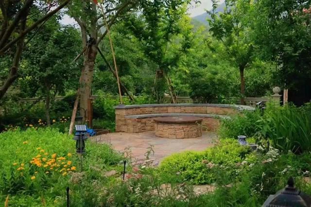 花园设计时,该如何选择植物,如何植物搭配 花园设计时,该如何选择植物,如何植物搭配