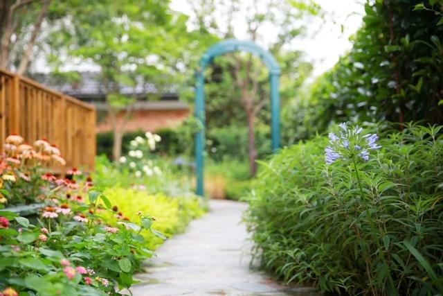 花园设计时,该如何选择植物,如何植物搭配 花园设计时,该如何选择植物,如何植物搭配