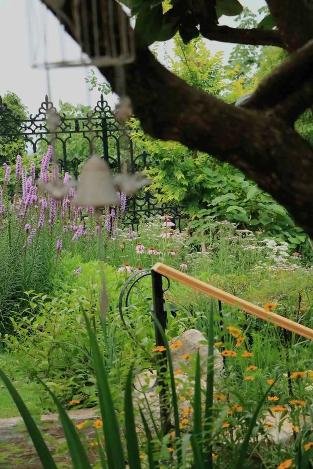 花园设计时,该如何选择植物,如何植物搭配 花园设计时,该如何选择植物,如何植物搭配