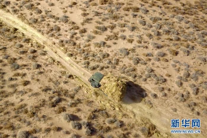 八步沙治沙人春季压沙造林忙